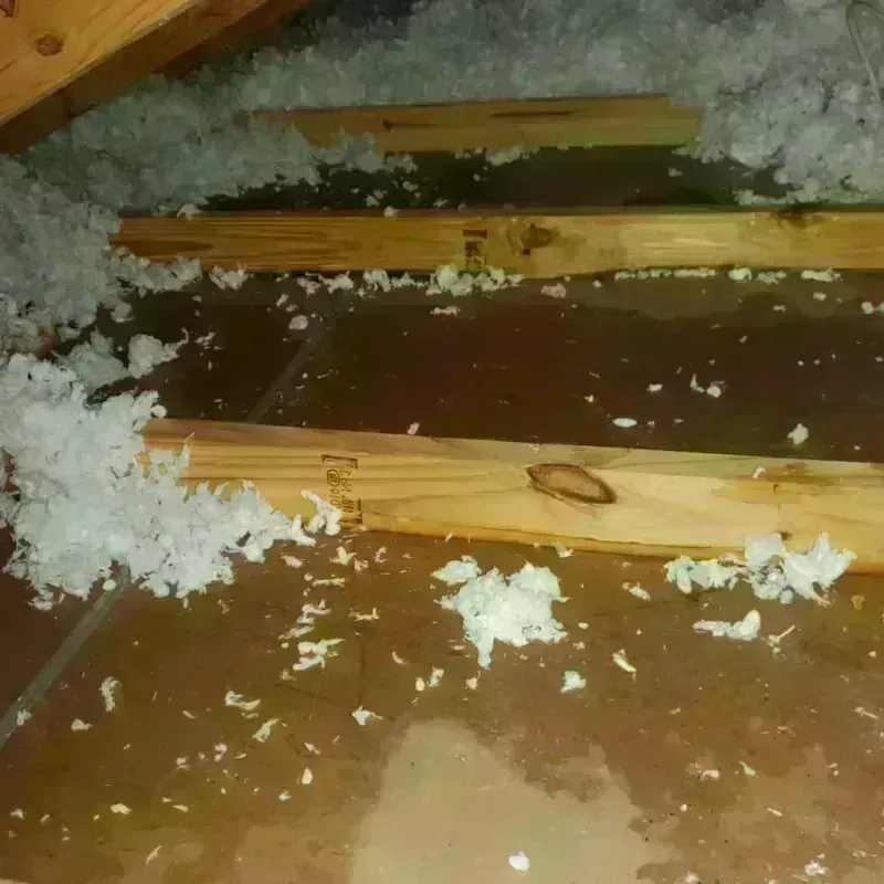 Attic Water Damage in Temple City, CA